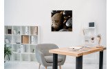 Akustikbild Dunkle Steine