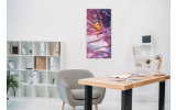 Akustikbild Clownfisch und Anemone