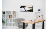 Akustikbild Baum am Meer
