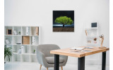 Akustikbild Baum des Lebens