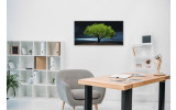 Akustikbild Baum des Lebens