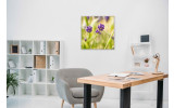 Akustikbild Lilane Wiesenblumen