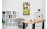 Akustikbild Lilane Wiesenblumen