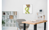 Akustikbild Kiwis