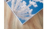 Akustikbild Vereiste Blume
