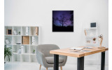 Akustikbild Kahler Baum bei Nacht
