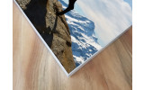 Akustikbild Steinbock