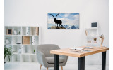 Akustikbild Steinbock