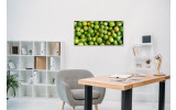 Akustikbild Limetten