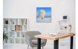 Akustikbild Schneebaum in der Landschaft