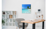 Akustikbild Palme