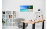 Akustikbild Palme