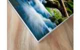 Akustikbild Waldfluss