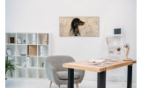 Akustikbild Hund in der Wiese