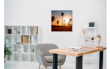 Akustikbild Palmengruppe im Sonnenuntergang