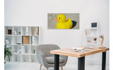Akustikbild Gelbe Gummiente