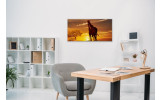 Akustikbild Giraffen