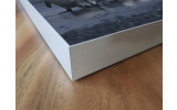 Akustikbild Pinguine