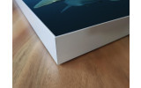 Akustikbild Haie