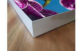 Akustikbild Lila Orchideen