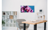 Akustikbild Lila Orchideen