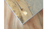 Akustikbild Seestern am Strand