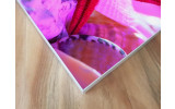 Akustikbild Roter Seestern