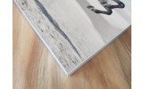 Akustikbild Stürmisches Pferd