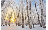 Akustikbild Winterwald