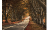 Akustikbild Allee