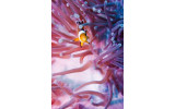 Akustikbild Clownfisch und Anemone