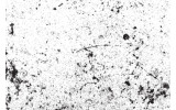 Akustikbild Schwarz-Weiss