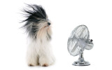 Akustikbild Durch den Wind