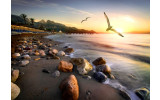 Akustikbild Möwen am Strand