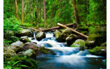 Akustikbild Waldfluss