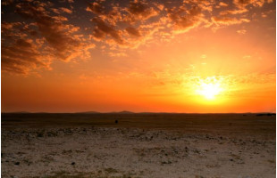 Akustikbild Sonnenuntergang im Brachland