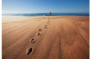 Akustikbild Spuren im Sand