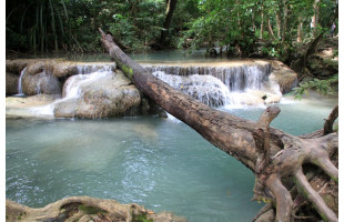 Akustikbild Waldfluss 2