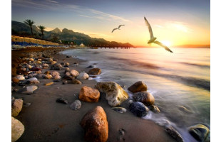 Akustikbild Möwen am Strand