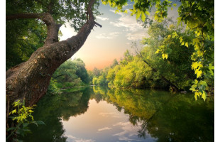 Akustikbild Waldfluss 3